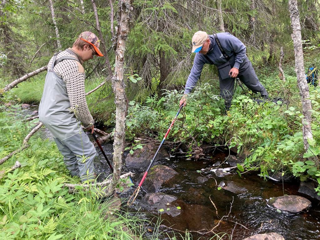 Två personer på varsin sida av en liten bäck. Med hjälp av en stav som skickar ut små elstötar i vattnet och en håv fångar de småfisk för att räkna och dokumentera.
