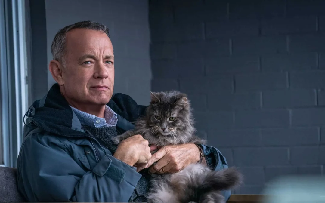Filmtipset: A Man Called Otto – Tom Hanks som Ove