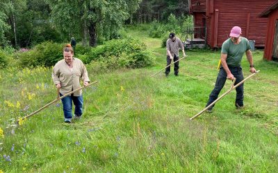 Lieslåtter – kulturhistoria och modernt arbetssätt