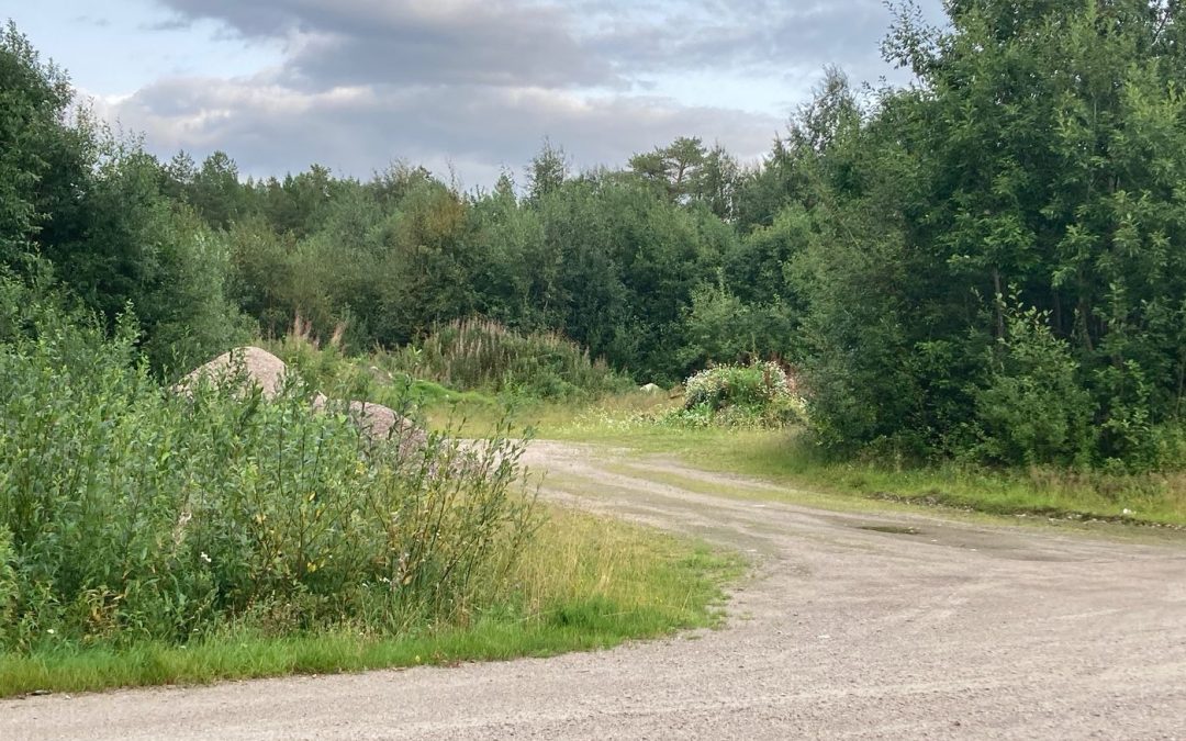 Medborgarförslag om kolonilotter