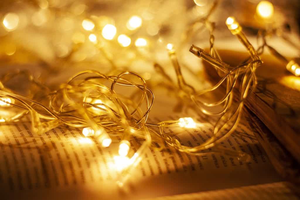 fairy lights, book, cozy, fairy lights, fairy lights, fairy lights, fairy lights, fairy lights, book, cozy