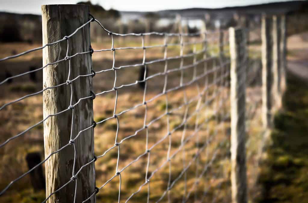 Ansöker om bygdemedel för gränsstängsel