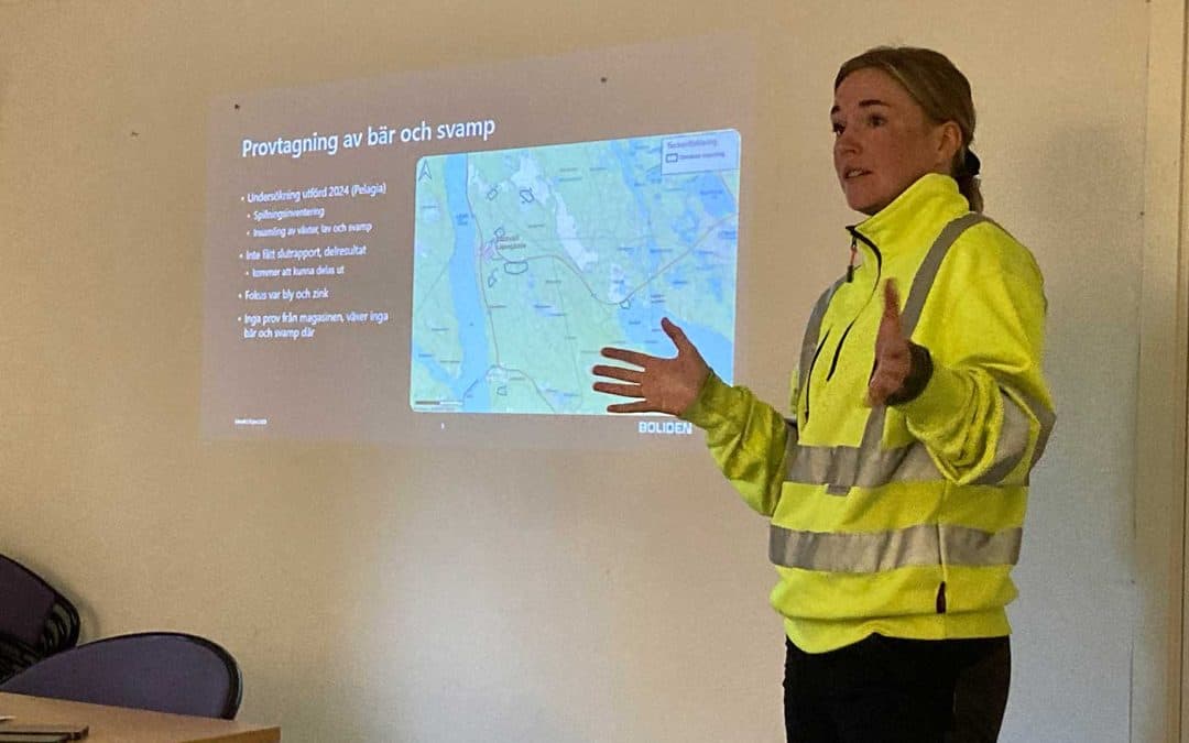 Dammförstärkning aktuell i Laisvall