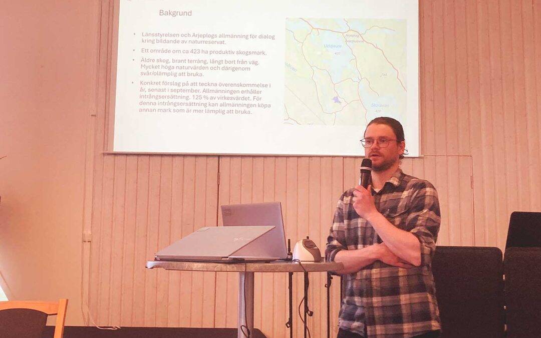 Allmänningsskog kan bli naturreservat