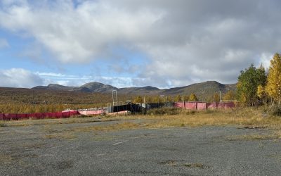 Minst elva renar döda efter vargangrepp
