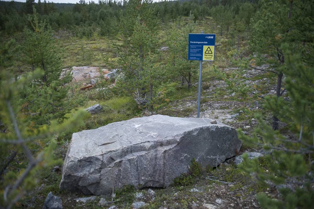 Bild på ett stenblock bland unga tallar och björkar. Bredvid blocket en stor skylt med rubriken Forskningsområde och en stor varningssymbol.
