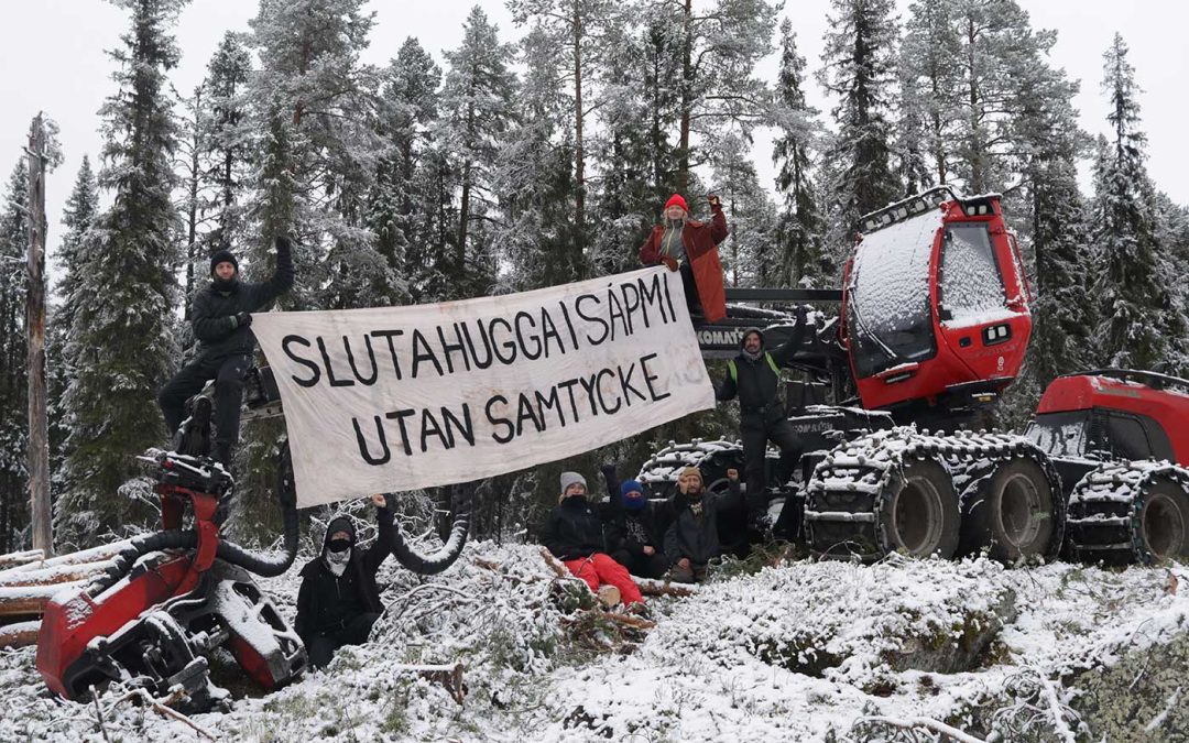 Avverkningen tillfälligt stoppad av domstolen