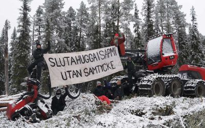 Avverkningen tillfälligt stoppad av domstolen