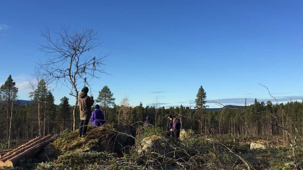 En bild på människor ute på ett hygge. De står med ryggarna mot fotografen. I vänsterkant på bilden ligger ett par fällda och kvistade trädstammar.