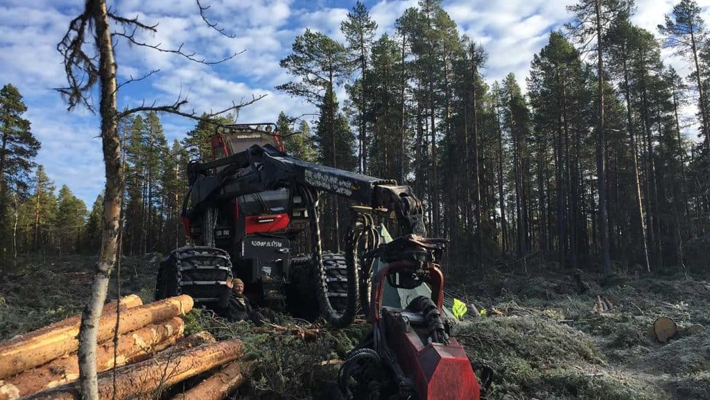 bild på skogsmaskinen och några fällda och kvistade trädstammar. Vid skogsmaskinens ena sida sitter en mansperson på marken och vinkar.