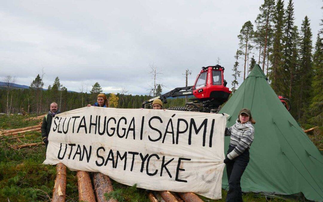 Skogsupproret vill stoppa avverkning