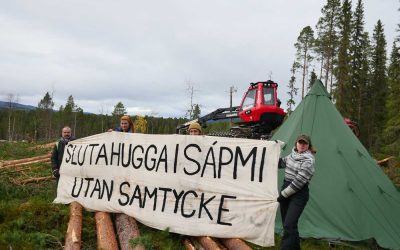 Skogsupproret vill stoppa avverkning